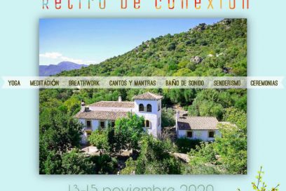 Retiro de conexión noviembre 2020